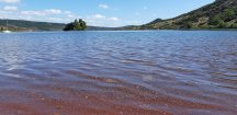 20190928_131754.jpg