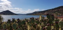 20190928_144523.jpg