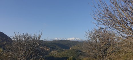20210227_085927.jpg